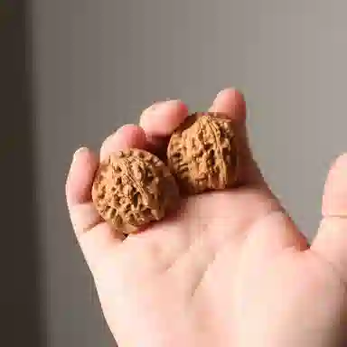 潘家园 野生狮子头 野生落地果 大肚 宽边 成熟度高 文玩核桃 核桃类把件 男女同款情侣款