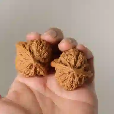 潘家园 精品文玩核桃把玩 锻炼手指灵活性 涿鹿南将石狮子头 桃核 把件 男女同款情侣款