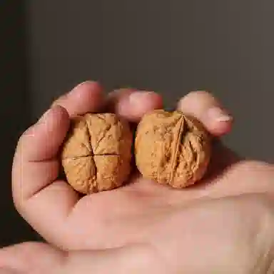 潘家园 野生铁核桃炸药包四棱 方方正正 棱形正十字 矮桩 皮骨硬朗 油性足 密度极大 文玩核桃 核桃类把件 男女同款情侣款