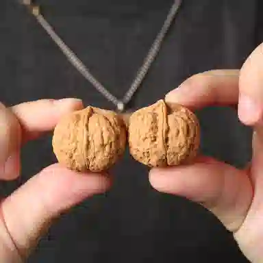 潘家园 野生铁核桃炸药包四棱 方方正正 棱形正十字 矮桩 皮骨硬朗 油性足 密度极大 文玩核桃 核桃类把件 男女同款情侣款