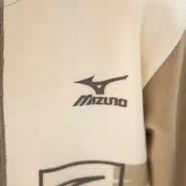 Mizuno
