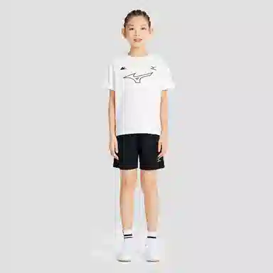 Mizuno logo T