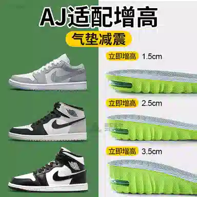 NIKEAJ1ZOOM PU+