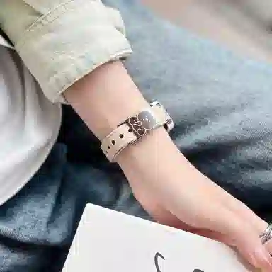 IBOANN 89766Pro97NFCins