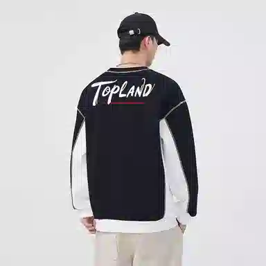 Topland logo