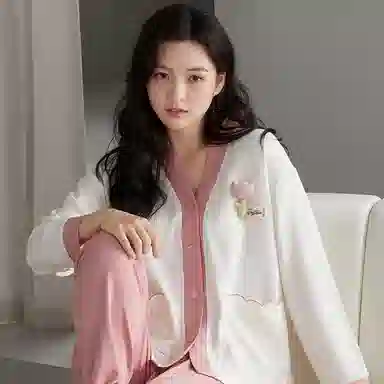 FENTENG V