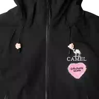 CAMEL