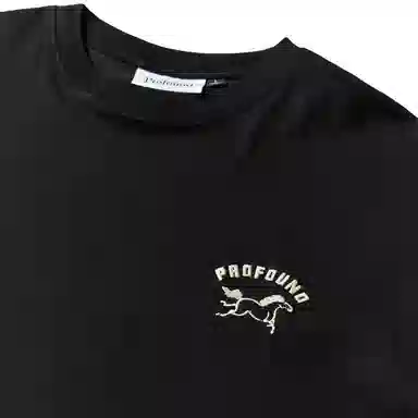 Profound Foundation T