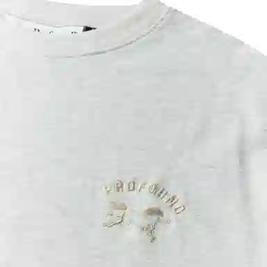 Profound Foundation T