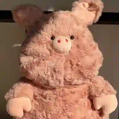 40cm