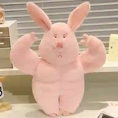 40cm50cm60cm