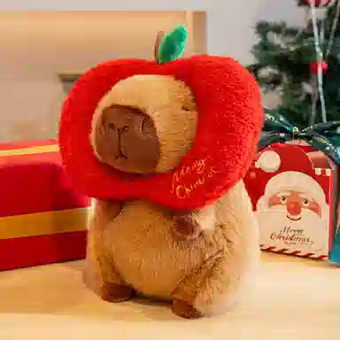 25cm