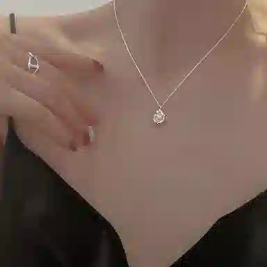 ins s925
