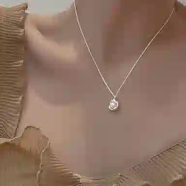 ins s925
