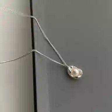 ins s925