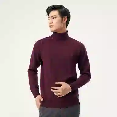 恒源祥 纯色高领针织毛衣 男款