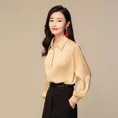 恒源祥 轻熟港味雪纺长袖衬衫 女款