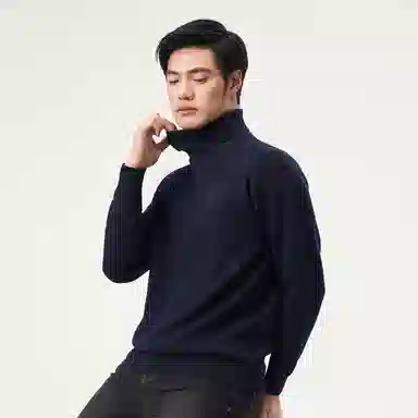 恒源祥 纯色高领针织毛衣 男款