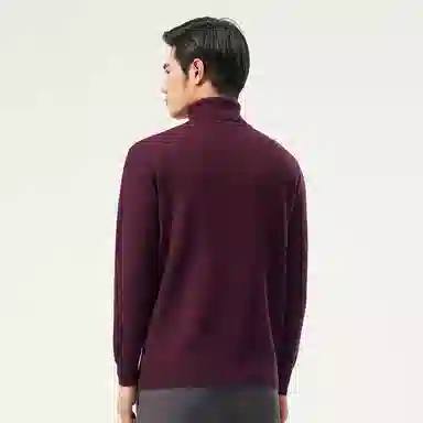 恒源祥 纯色高领针织毛衣 男款