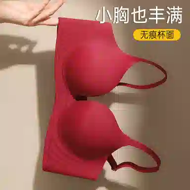 润微 小胸聚拢显大圆润有型无痕提拉防下垂收副乳文胸 女款
