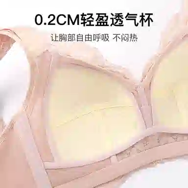 润微 院线调整型蕾丝美背内衣女大胸显小无钢圈收副乳防下垂文胸 女款