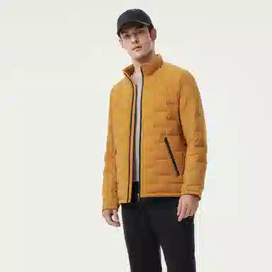 坦博尔 立领轻薄短款内胆叠穿保暖羽绒服 男款