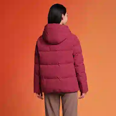 坦博尔 纯色连帽拉链短款羽绒服 女款