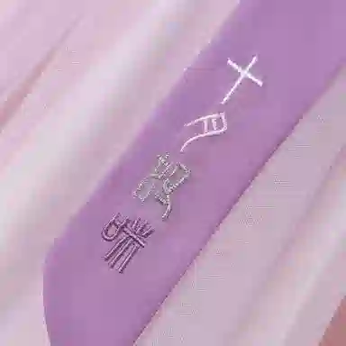 十月妈咪 童装 中国风网纱短袖儿童汉服 女童 长春花紫