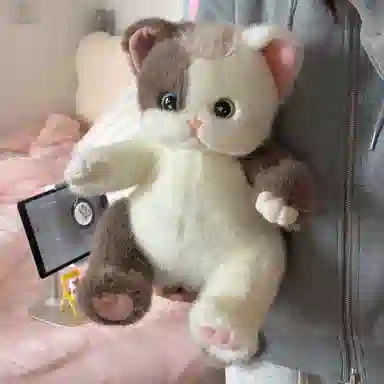 36cm