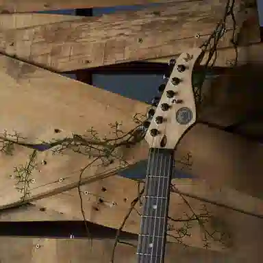 (Gopherwood) S-Classic III