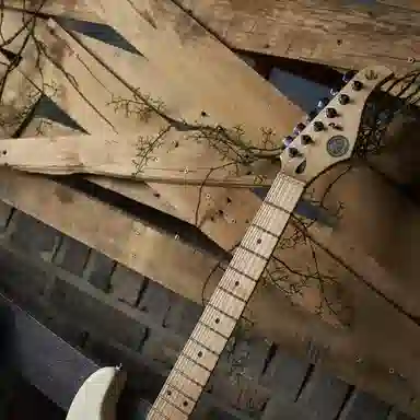 (Gopherwood) S-Classic III