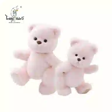 Lina Bear TeddyTales PRO Basic