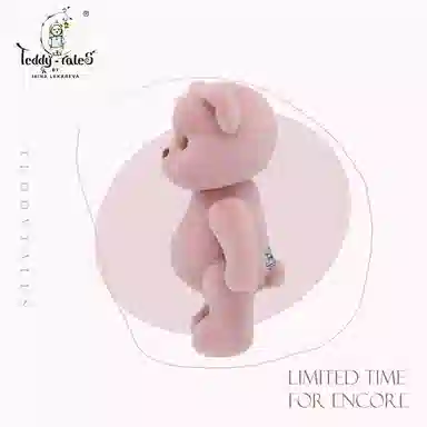 TeddyTales PRO 20cm