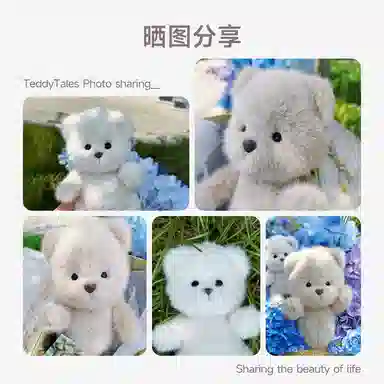 TeddyTales PRO2025 30cm