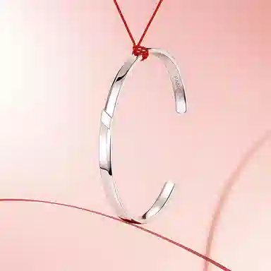 FANCI S925