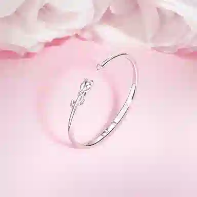 FANCI S925