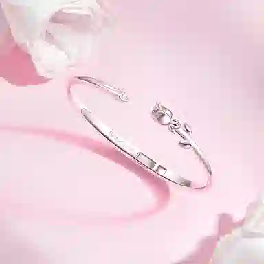 FANCI S925