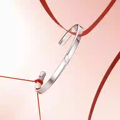 FANCI S925