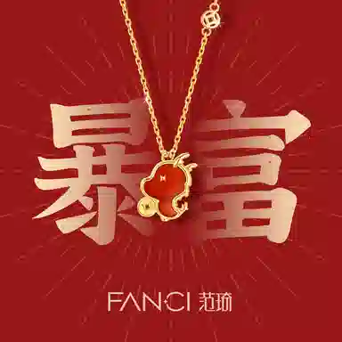 FANCI S925
