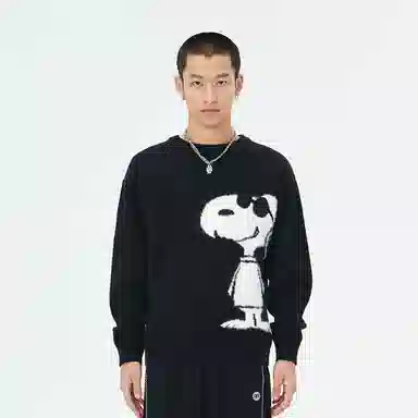 fun x SNOOPY