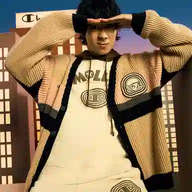 Champion FW24 V-Neck Cardigan Khaki