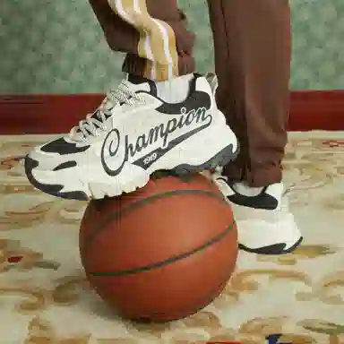 Champion Retro Sports