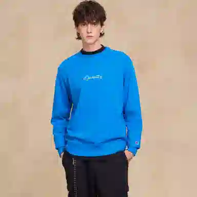 Champion FW25 BASIC