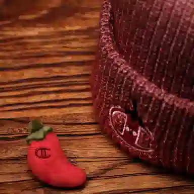 Champion FW25 C-Logo