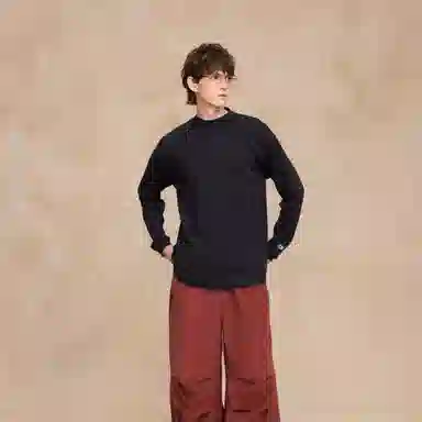 Champion FW25 BASIC T