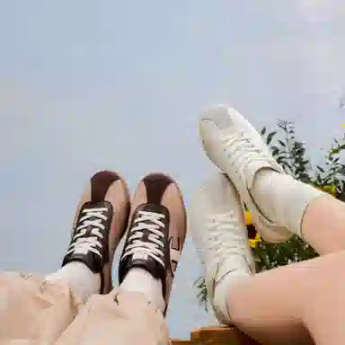 Champion Champ Trainer EC Brown