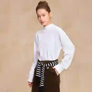 Champion FW25 BASIC T