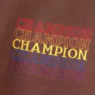 Champion Fleece Hoodie Japan Edition Brown