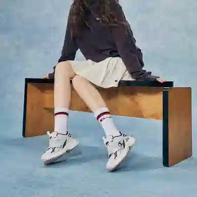 Champion Retro Sports