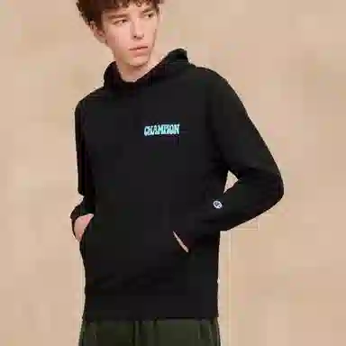 Champion FW25 BASIC